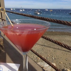 Meet your Posher, Bear